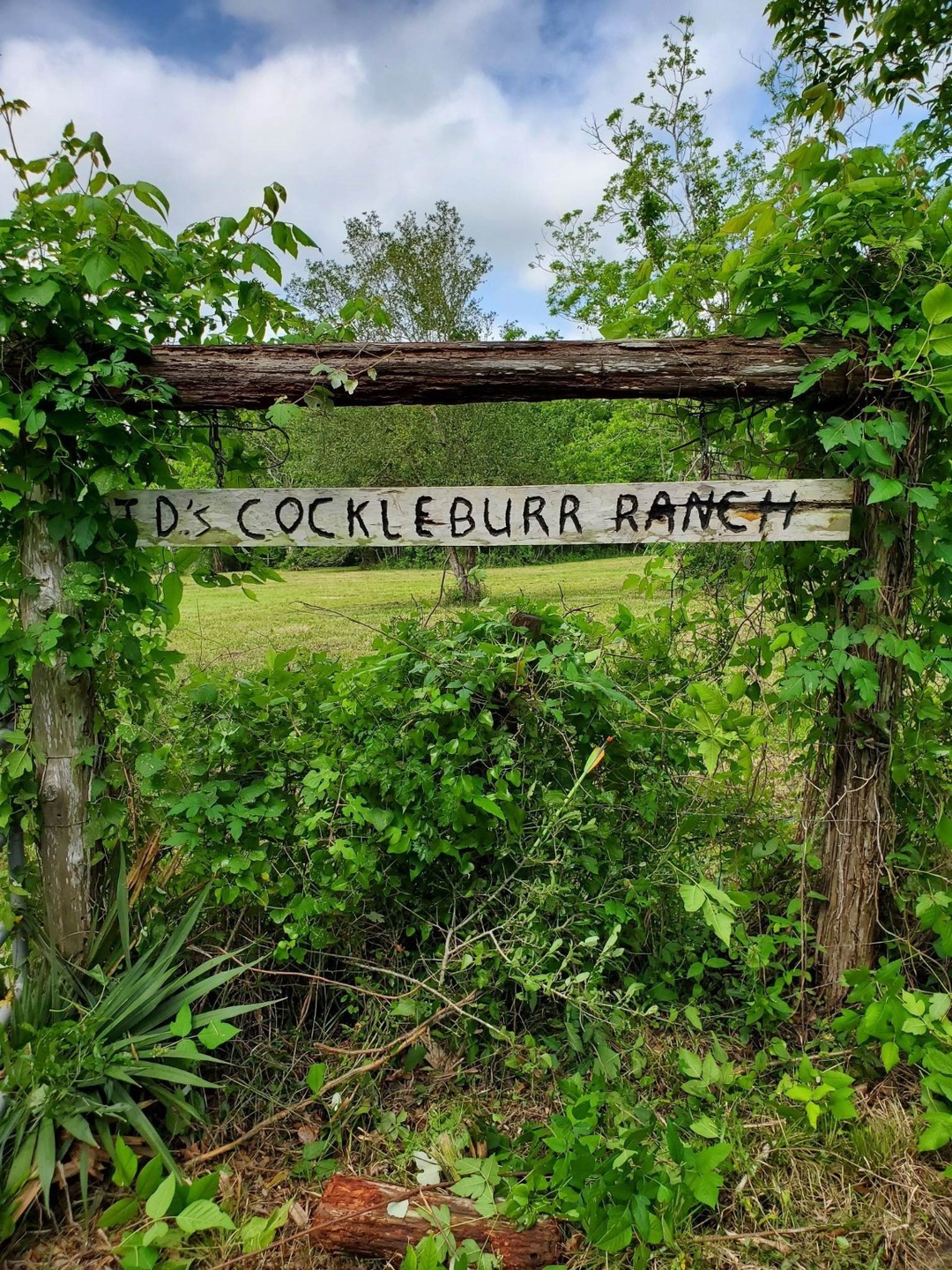 0 County Road 461 Off Nar, Brazoria, TX 77422 - photo 1