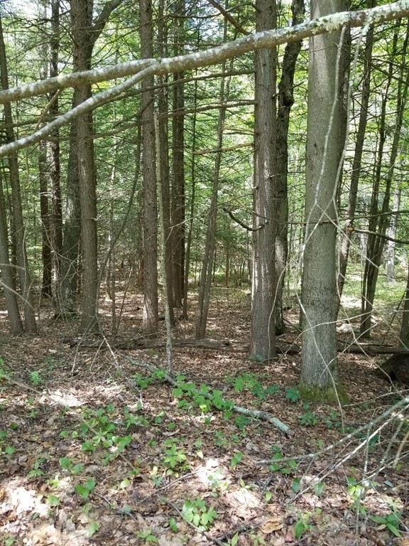 0 Whitaker Rd, New Salem, MA 01355 - photo 1