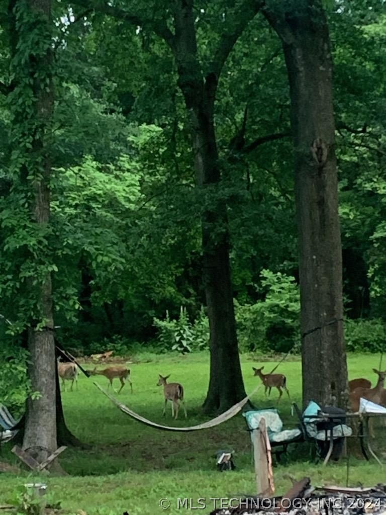 98312 S 4471 Rd, Gore, OK 74435 - photo 1