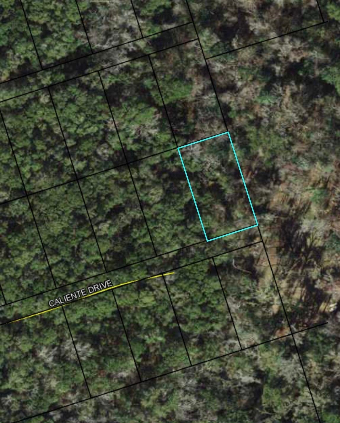 Lot 7 Caliente Dr, Crawfordville, FL 32327 - photo 1