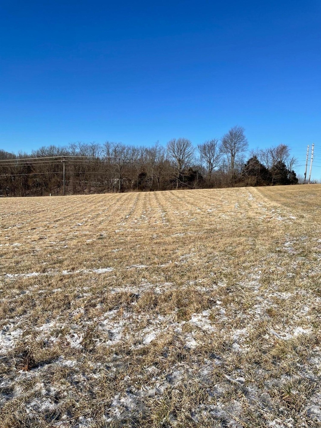 2 Songbird Cir, Nixa, MO 65714 - photo 1