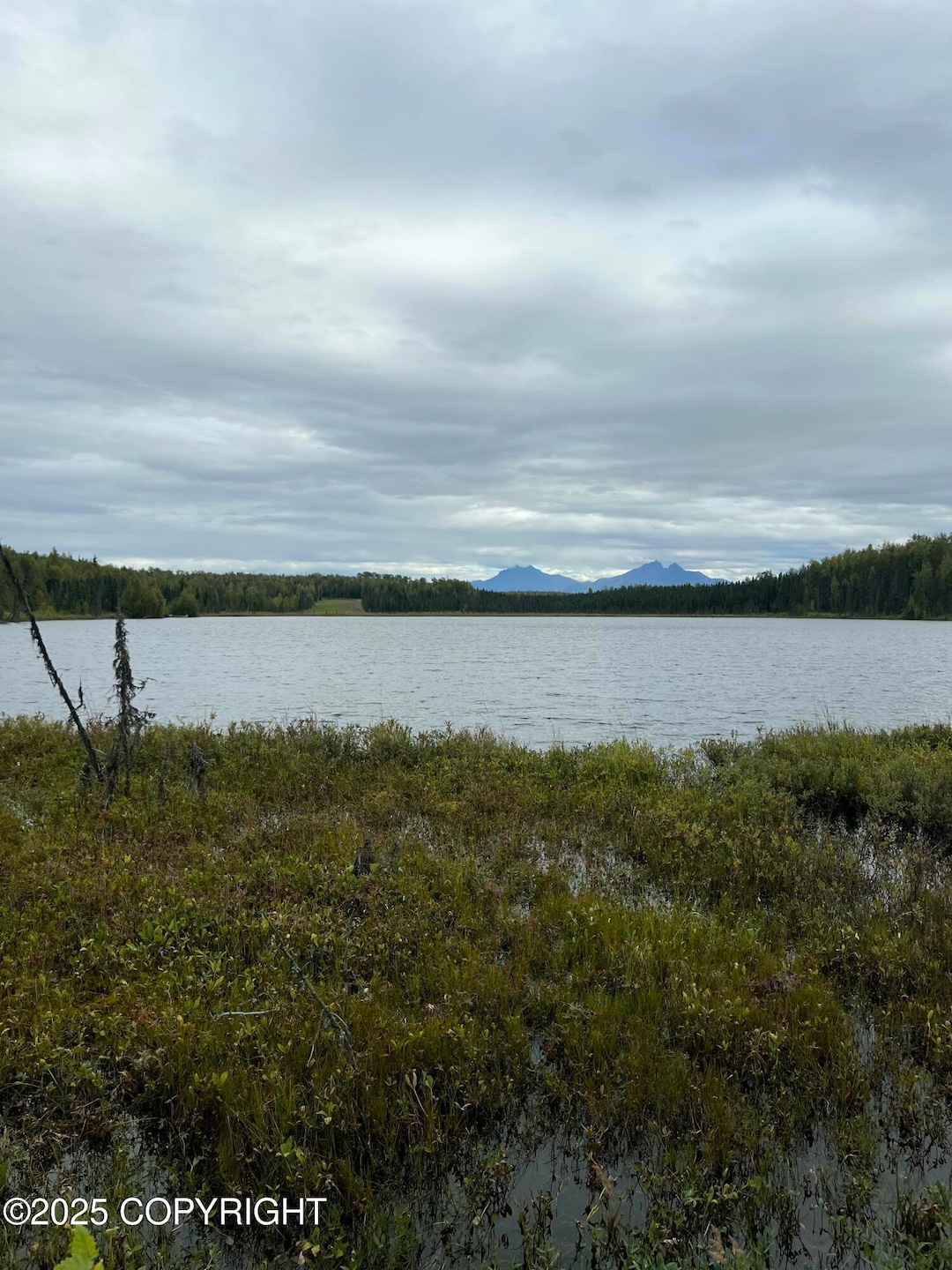 NHN W Hollywood Rd, Wasilla, AK 99654 - photo 1