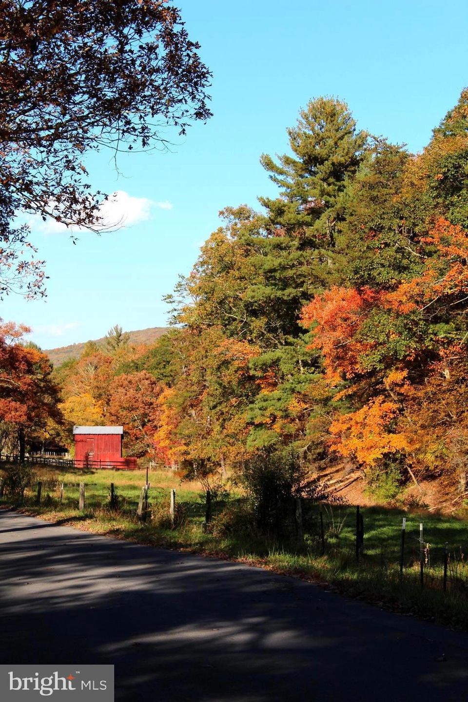 63 +/- Acres Off Needmore Rd, Baker, WV 26801 - photo 1