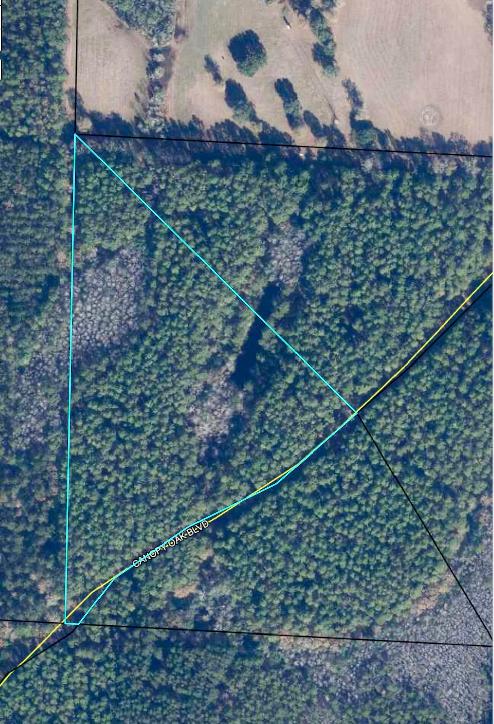 5 Canopy Oak Blvd, Bonifay, FL 32425 - photo 1