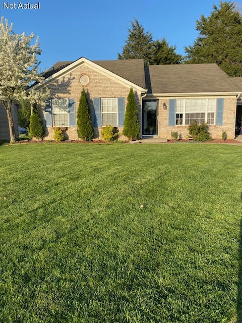 new front