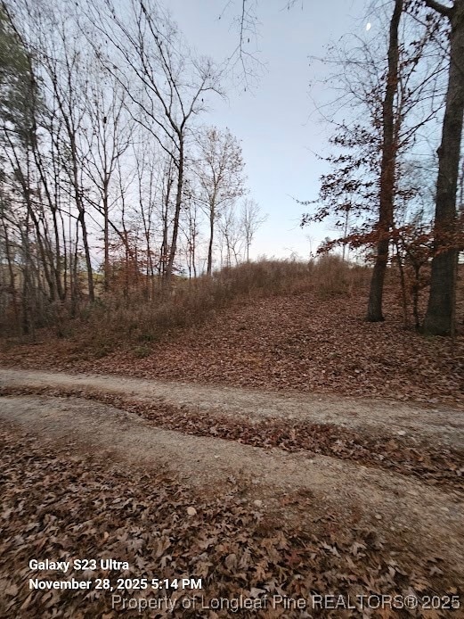 0 Natchez Trace unit 754229, Buckhorn, NC 27526 - photo 1