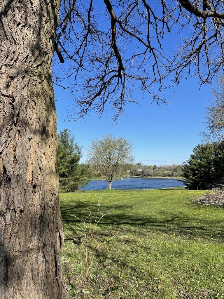 B76BE070-3BDC-40D1-9333-2BD9D94F8B52