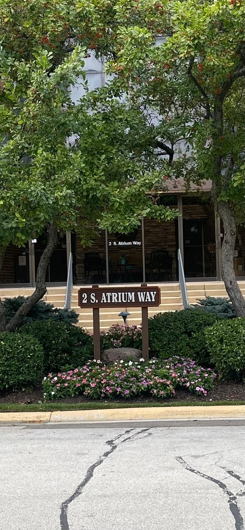 The Atrium Condominiums unit 203, Elmhurst, IL 60126 - photo 1