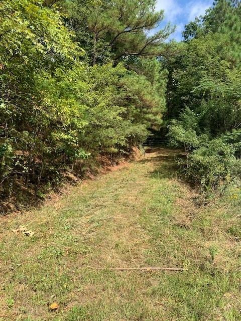 0 Patton Rd, West Fork Township, AR 72774 - photo 1