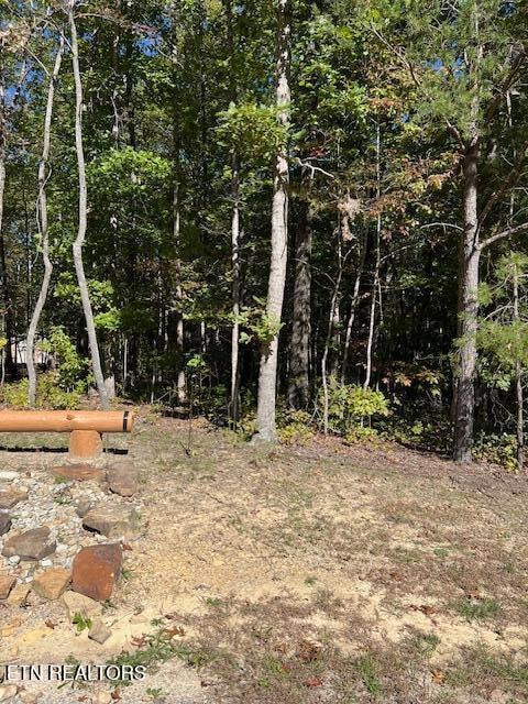 8+9 Slack Place, Monterey, TN 38574 - photo 1