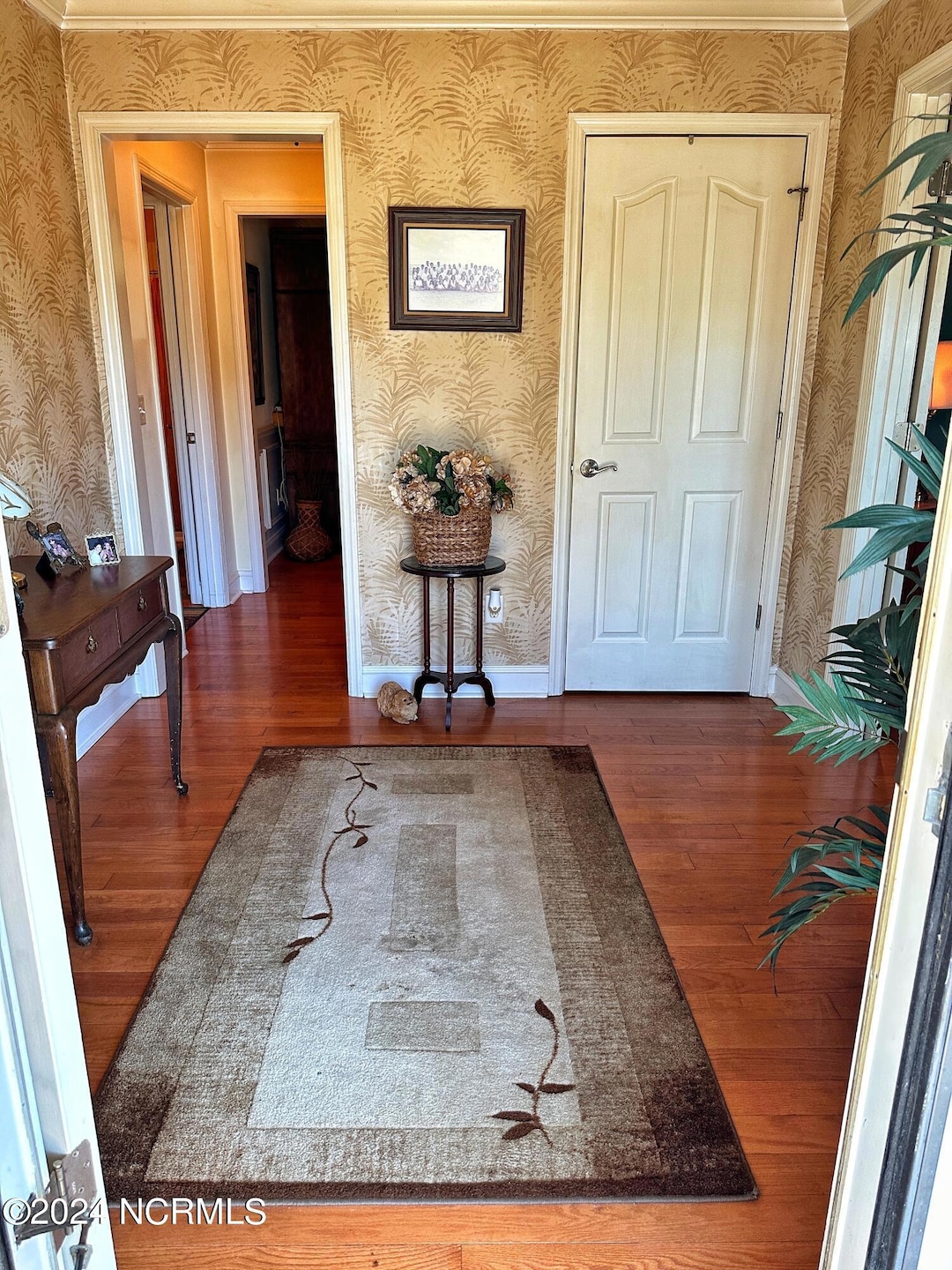 517 University Dr, Jacksonville, NC 28546 - photo 1