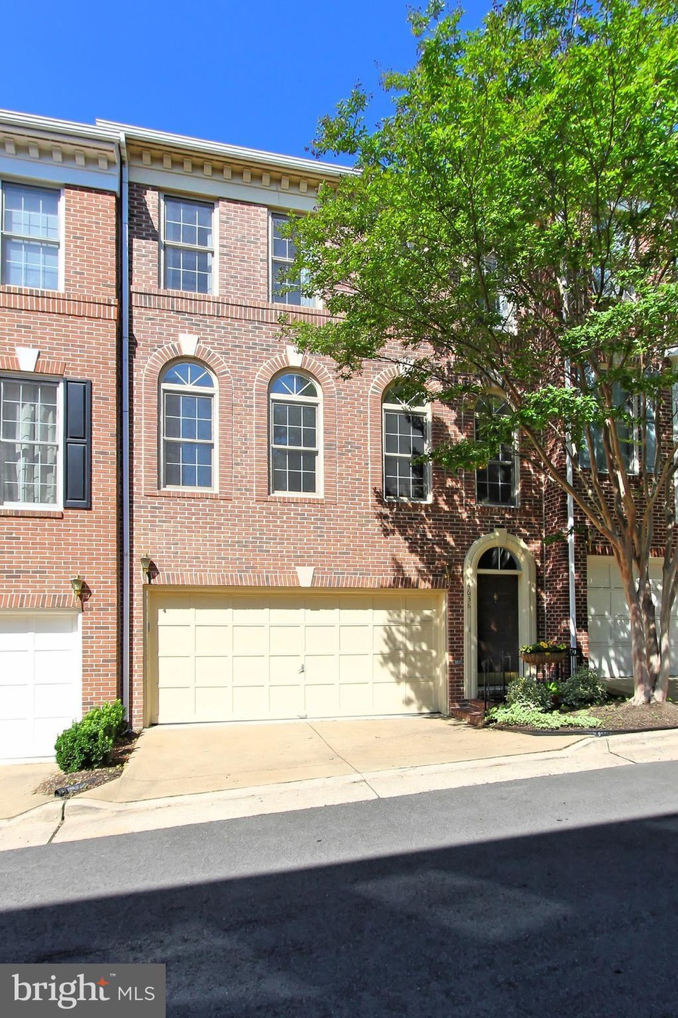 4638 Knight Place, Alexandria, VA 22311 - photo 1
