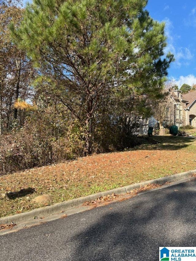 113 Crest Dr, Chelsea, AL 35043 - photo 1