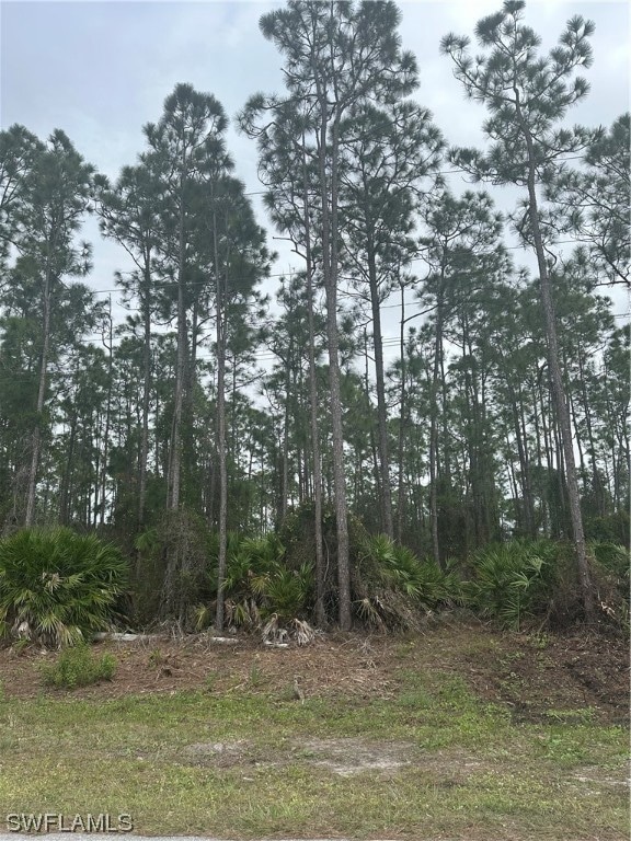 757 Barclay Ave, Lehigh Acres, FL 33974 - photo 1