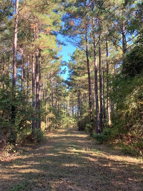 TBD Farm To Market Road 698, Nacogdoches, TX 75964 - photo 1