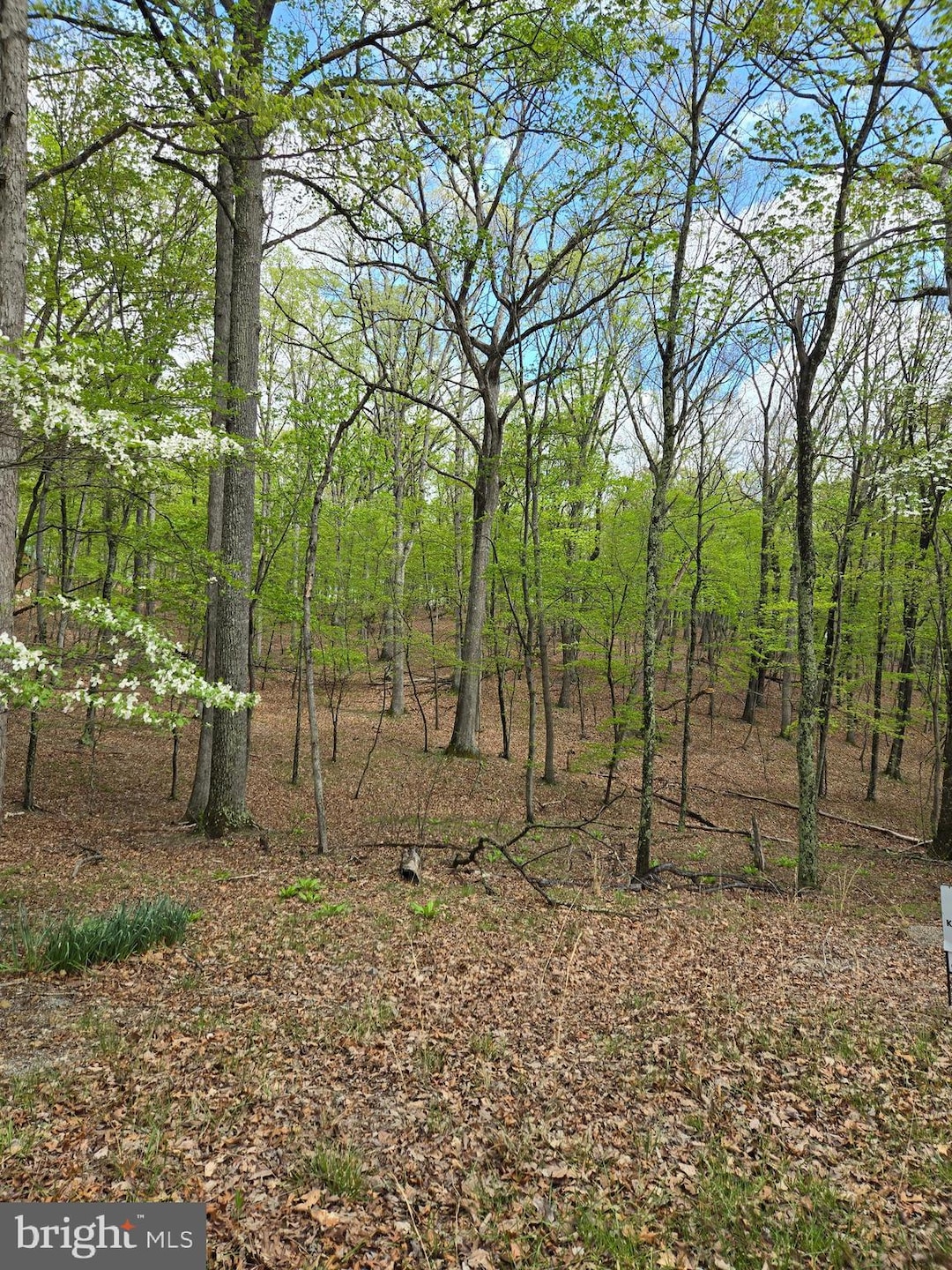 0 Pioneer Trail unit WVMO2005610, Great Cacapon, WV 25422 - photo 1