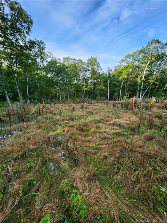 Sold $70,000 • Co-Listing Agent