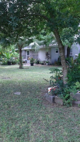 Main View