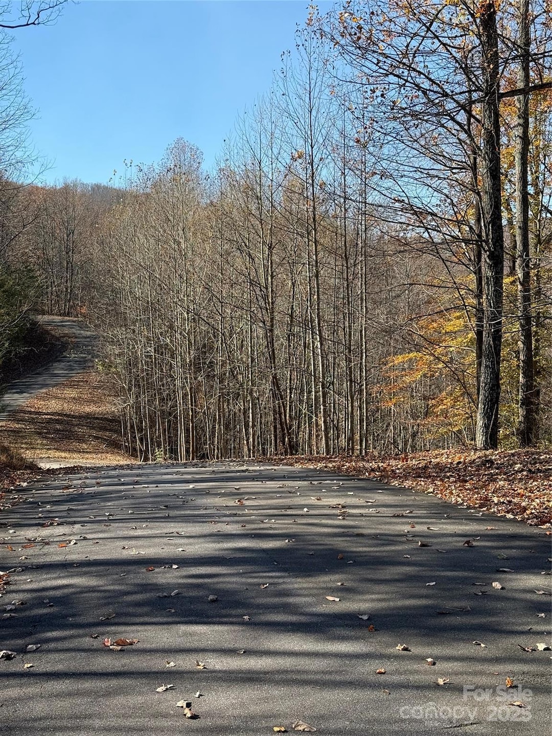 V/L Lot 72 & 170 Black Lark Dr, Marion, NC 28752 - photo 1