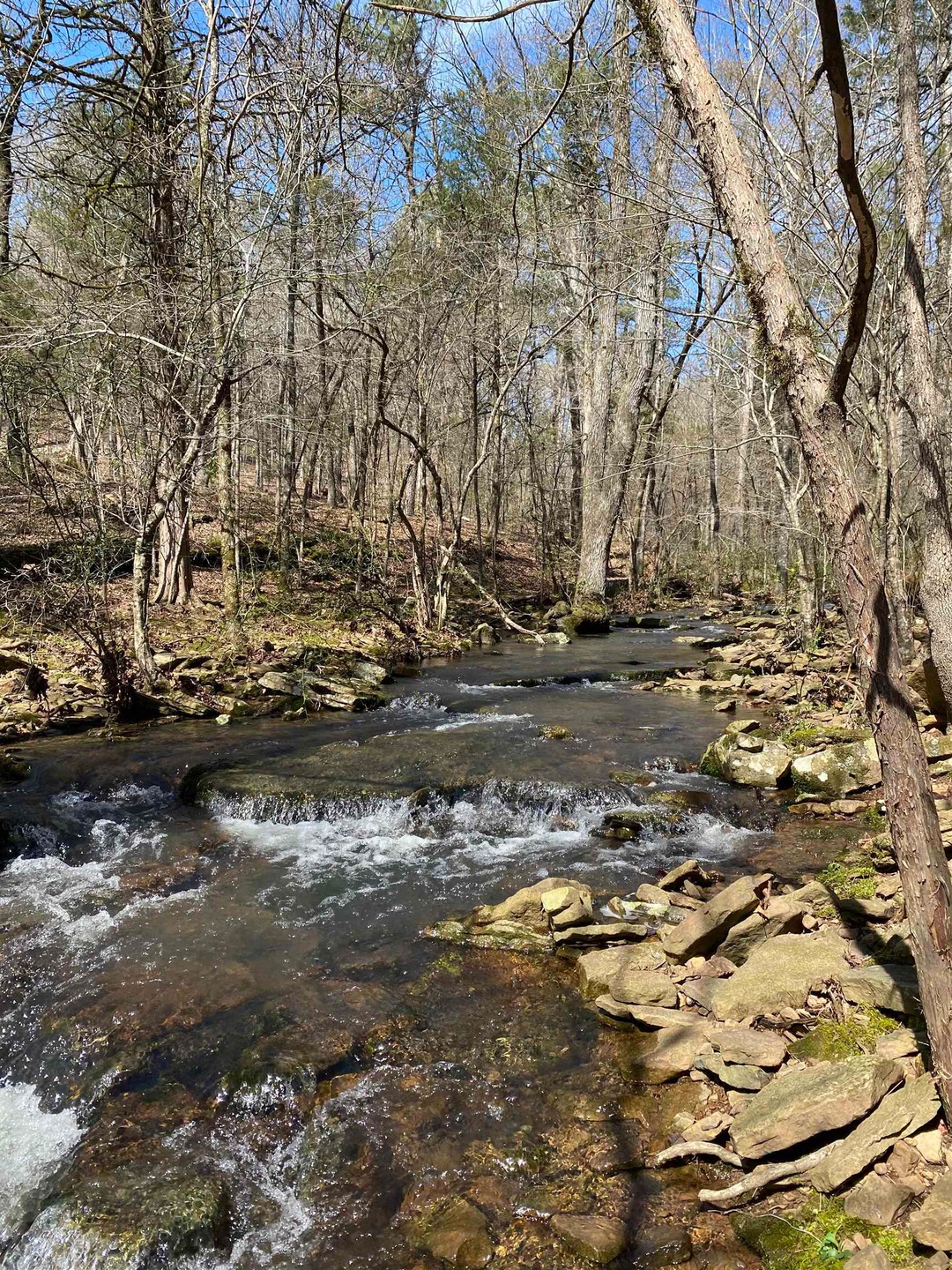 144 Old Ridge Rd, Pangburn, AR 72121 - photo 1