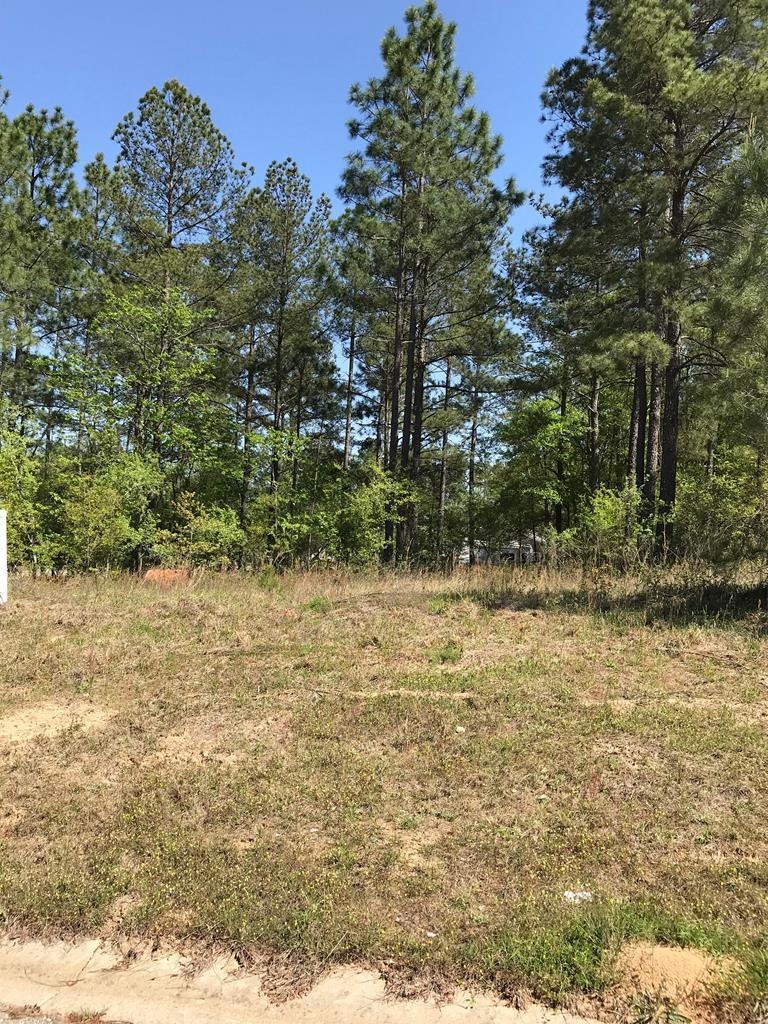 1633 Pauli Dr unit 8, Macon, GA 31217 - photo 1