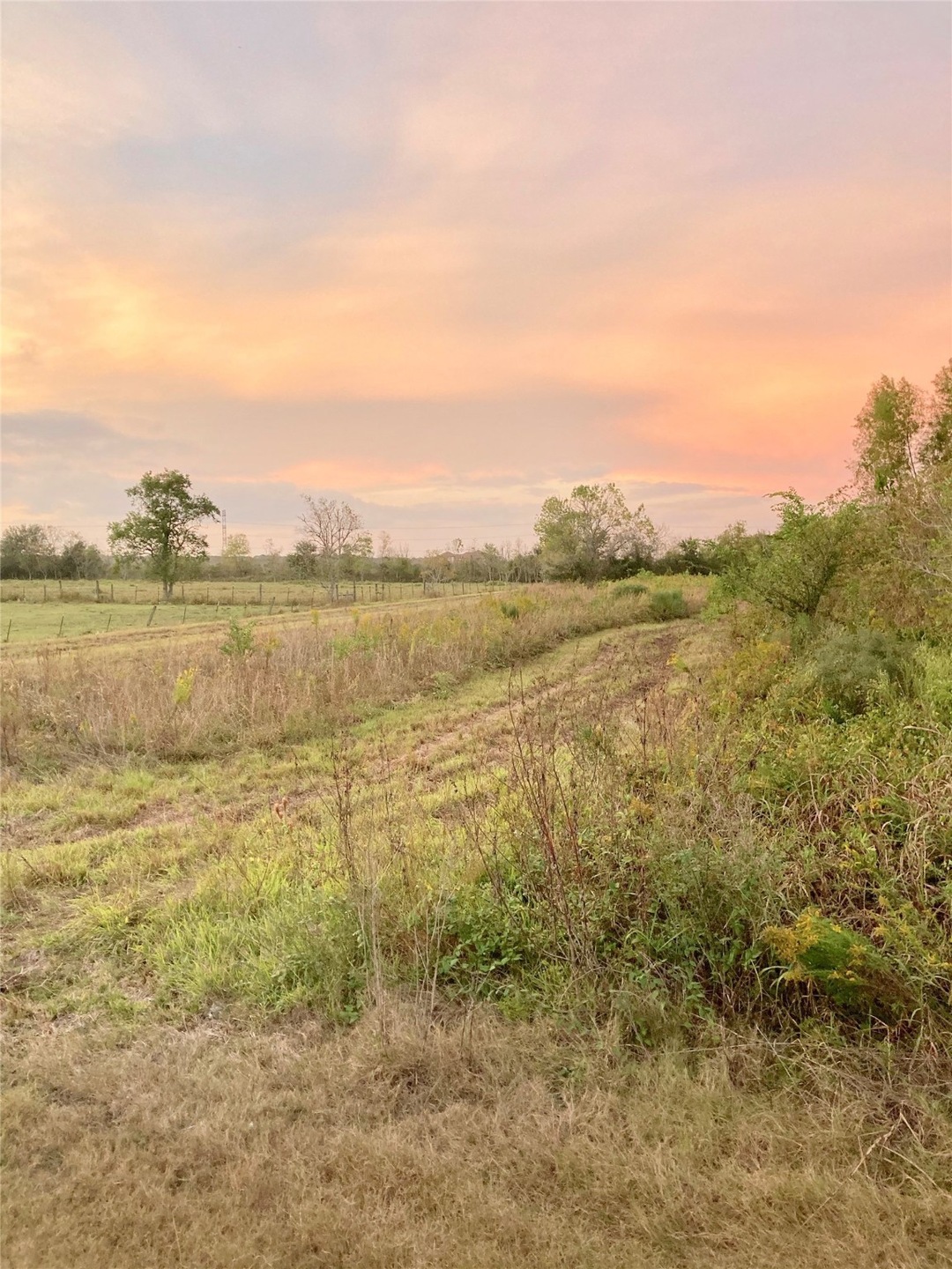 000 County Road 38, Alvin, TX 77511 - photo 1
