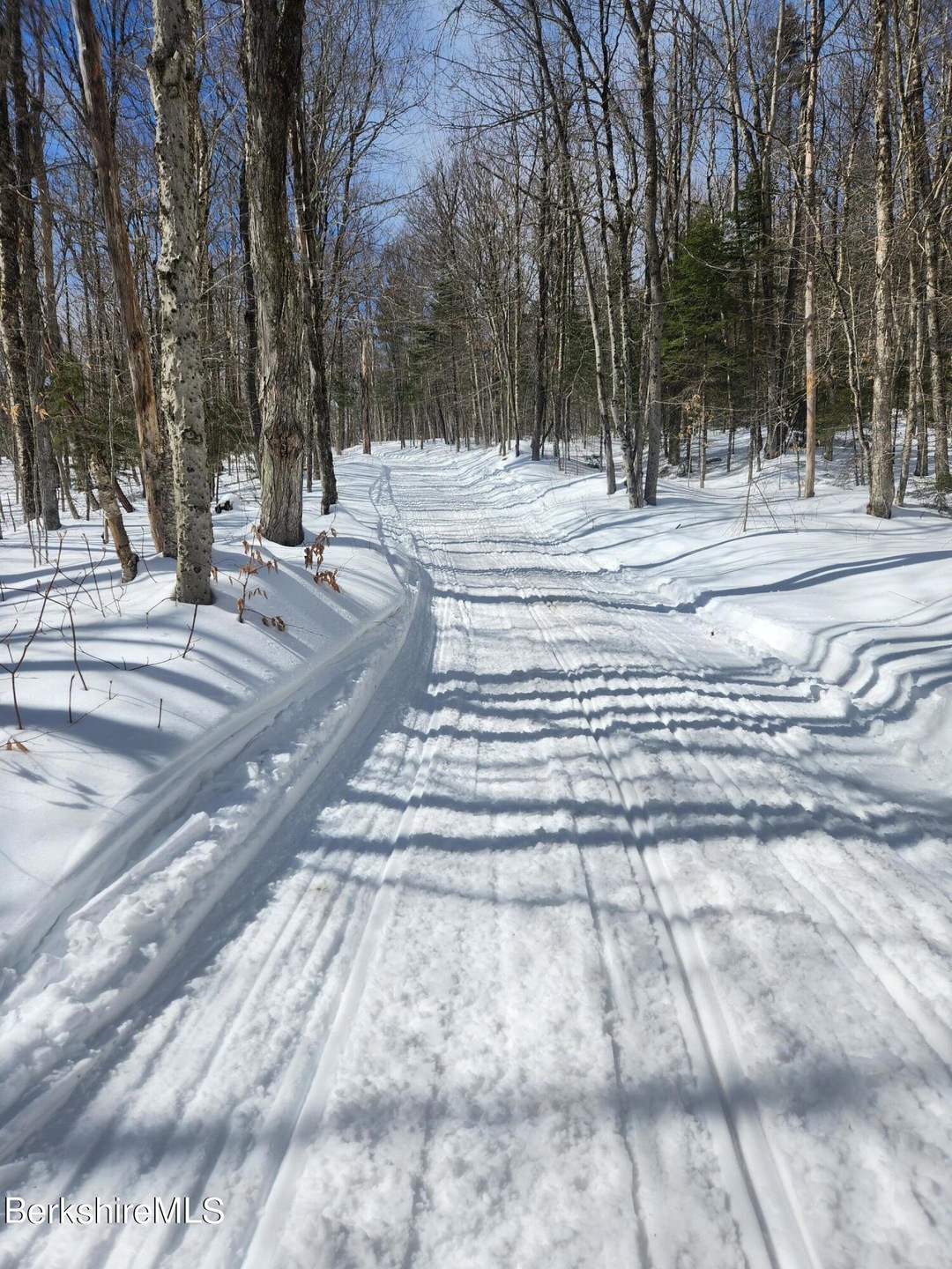 unlisted-address, Readsboro, VT 05350 - photo 1