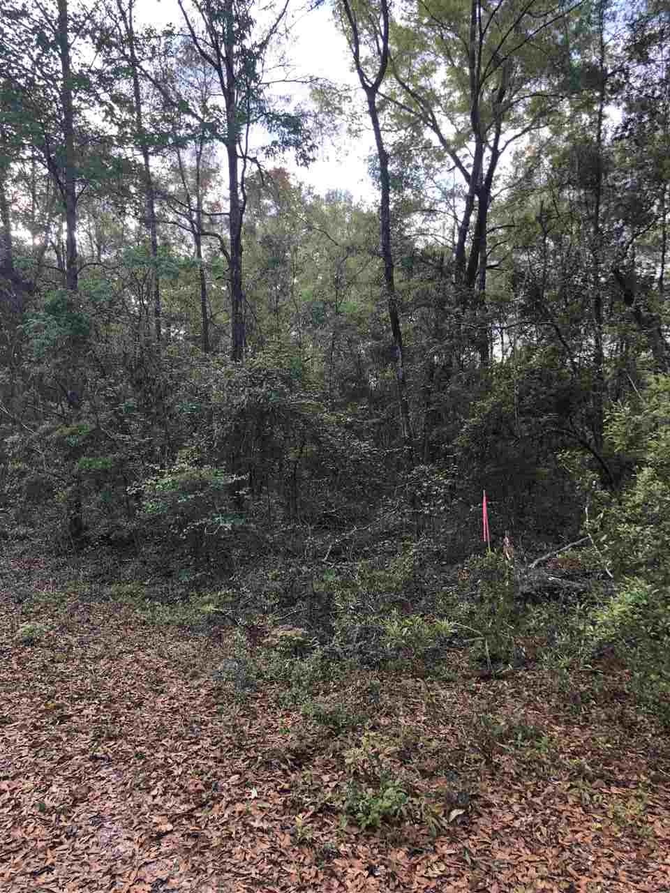 0 Noles Ln unit 1, Crawfordville, FL 32327 - photo 1