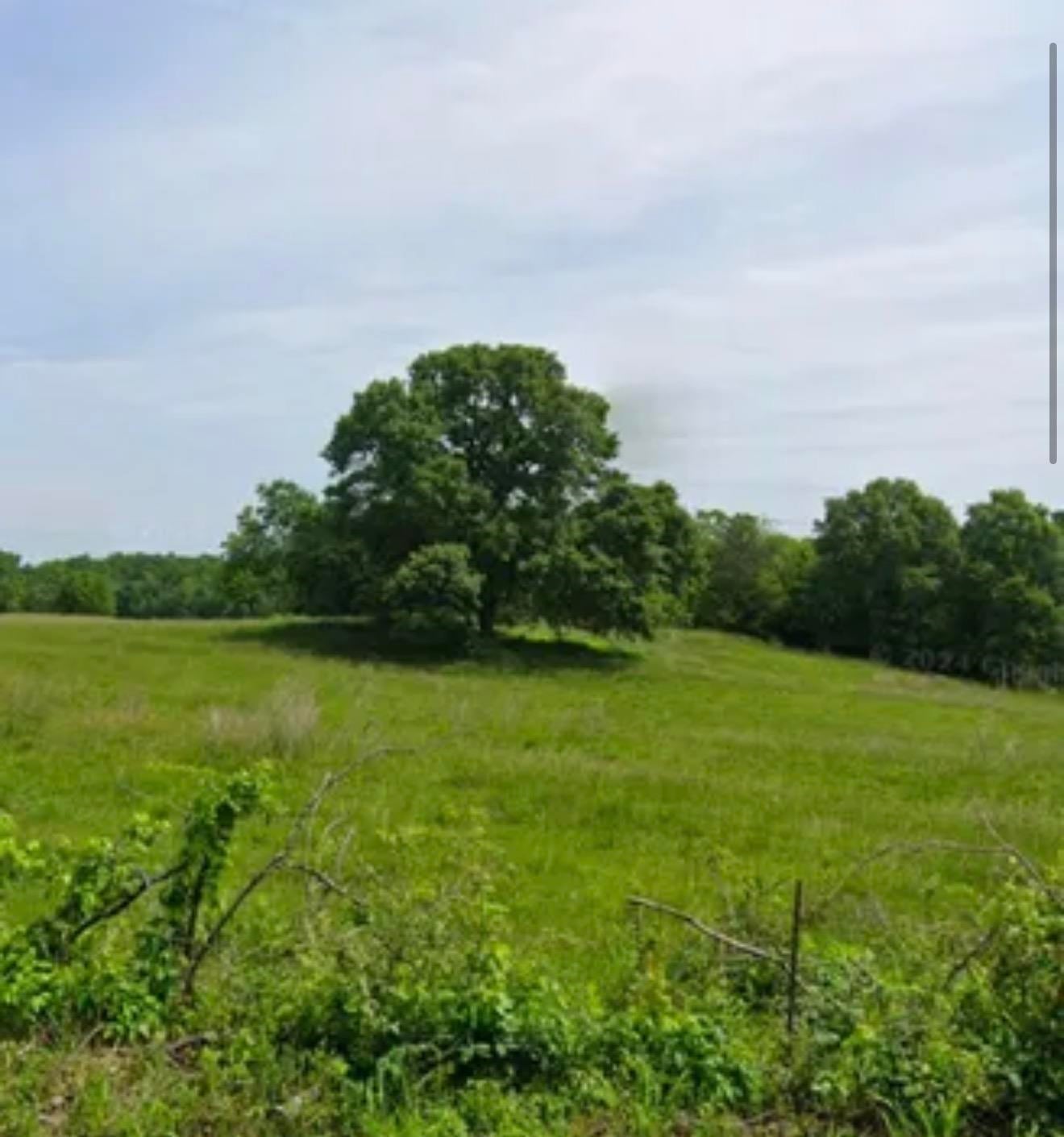 0 Carolina Ridge Road (Lots 10 & 11) unit SPN331255, Gaffney, SC 29341 - photo 1