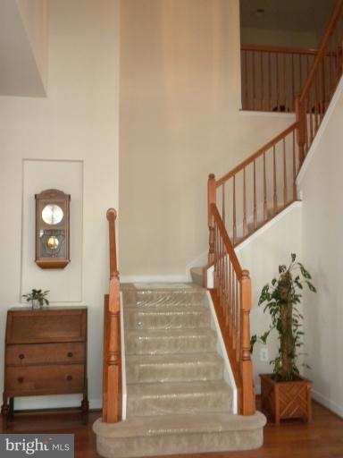 13006 Red Admiral Place, Fairfax, VA 22033 - photo 1