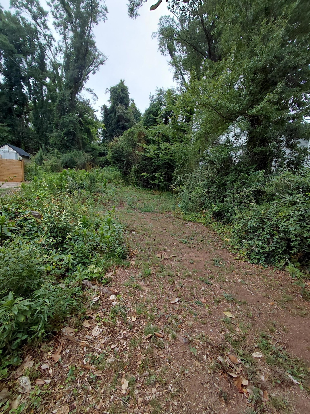 353 Saint Andrews St, Spartanburg, SC 29306 - photo 1