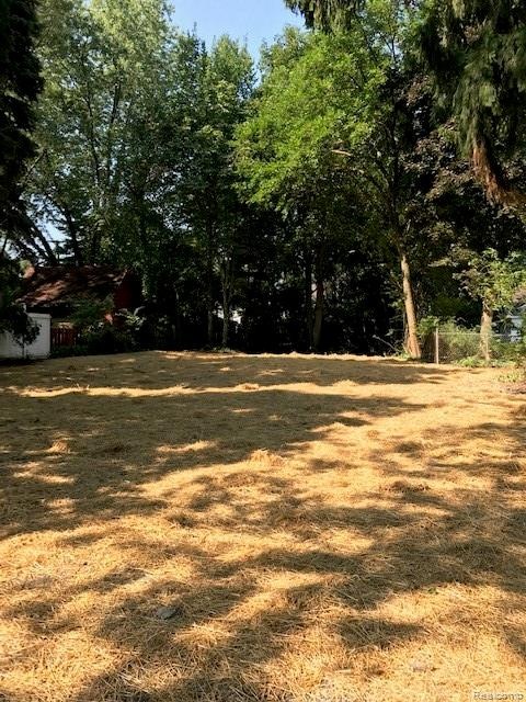 50' wide X 169' deep lot