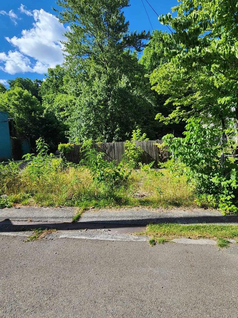 65 Creekside Dr, Northfork, WV 24862 - photo 1