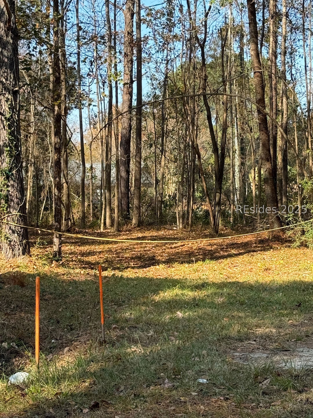 000 W Main St, Ridgeland, SC 29936 - photo 1