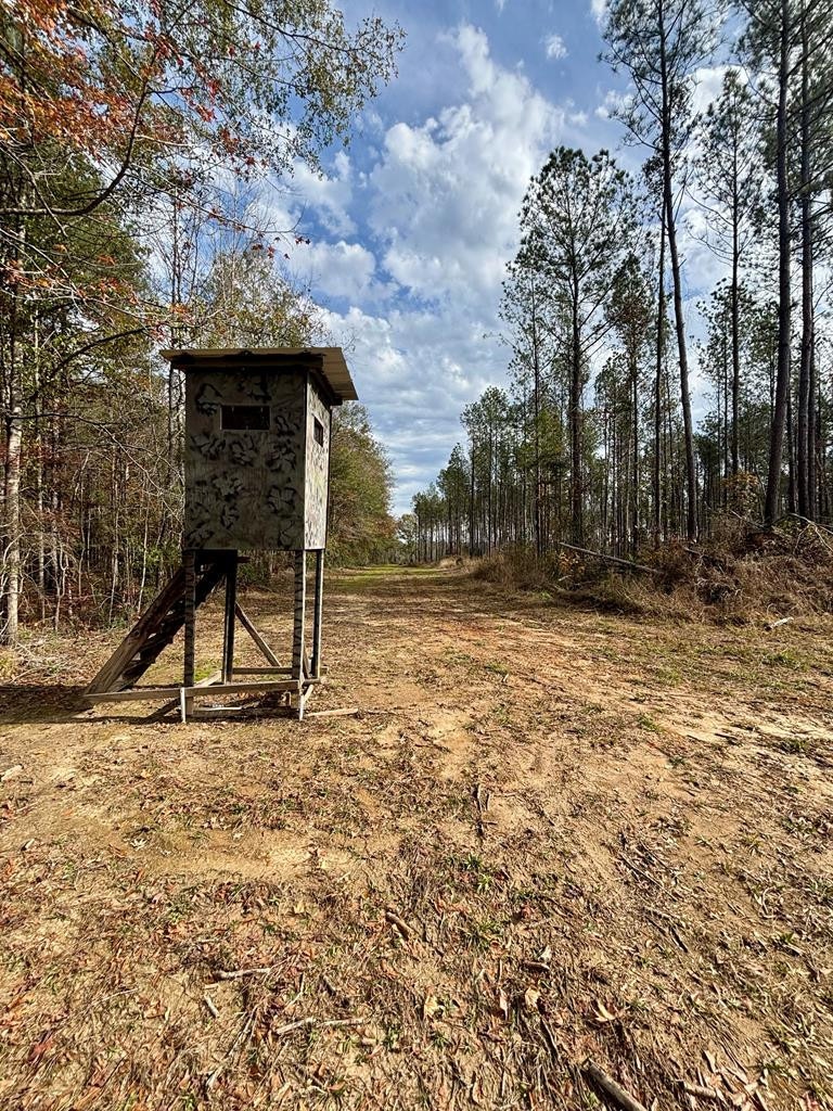 tbd Wall St, Osyka, MS 39657 - photo 1