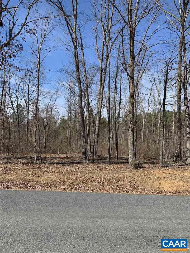 1726 Nahor Manor Rd, Palmyra, VA 22963 - photo 1