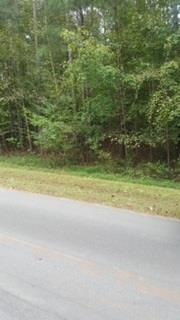 none Windsong Dr, Roanoke Rapids, NC 27870 - photo 1