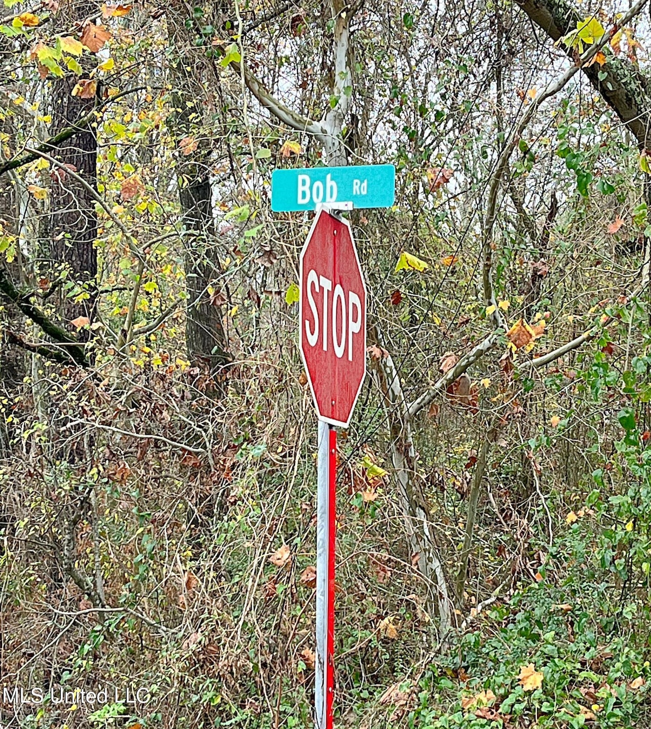 Bob Rd