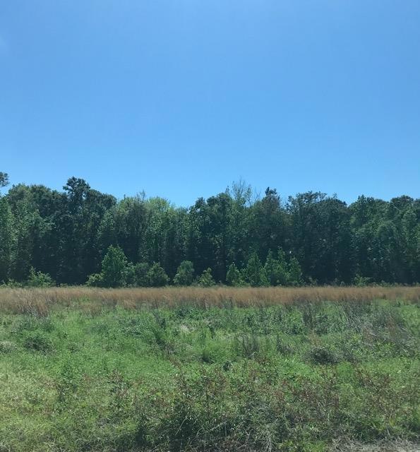 105 Paces Ln unit 5, Boston, GA 31626 - photo 1