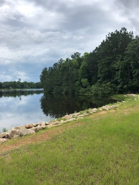 210 Fish Creek Thoroughfare, Montgomery, TX 77316 - photo 1