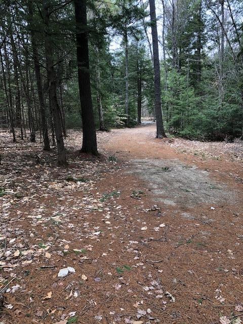 Lot A Beaver Creek Farm Rd, Bridgton, ME 04009 - photo 1