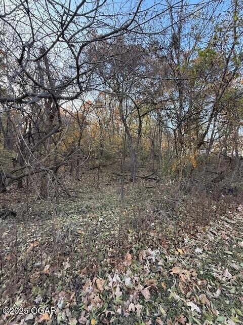 000 Shady Ln, Joplin, MO 64804 - photo 1