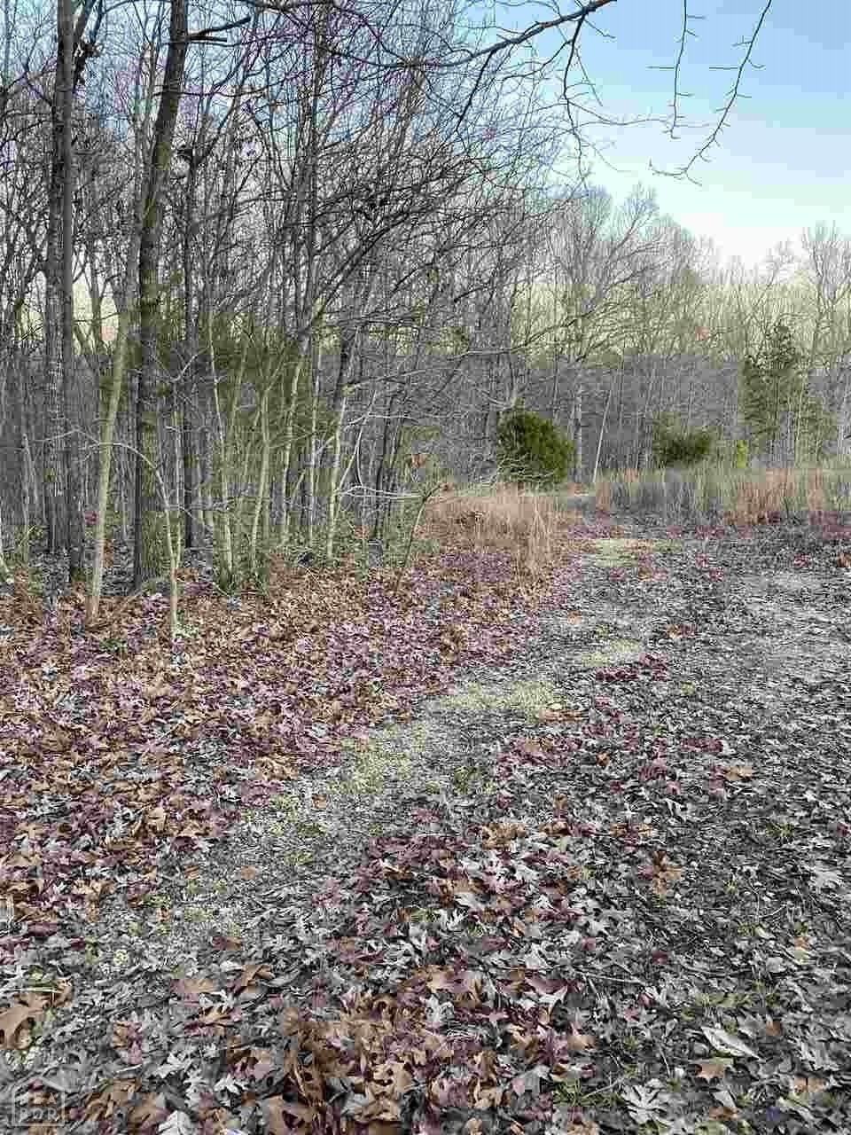 2975 Greene Road 715, Paragould, AR 72450 - photo 1