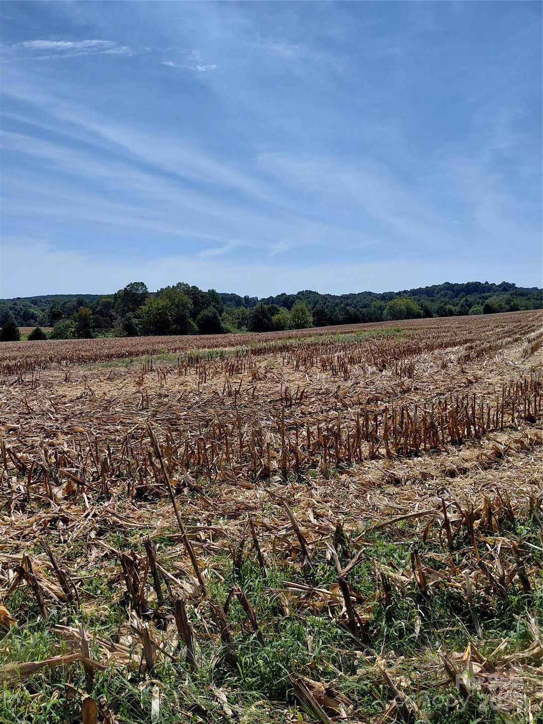 320 Howards Bridge Rd, Union Grove, NC 28689 - photo 1