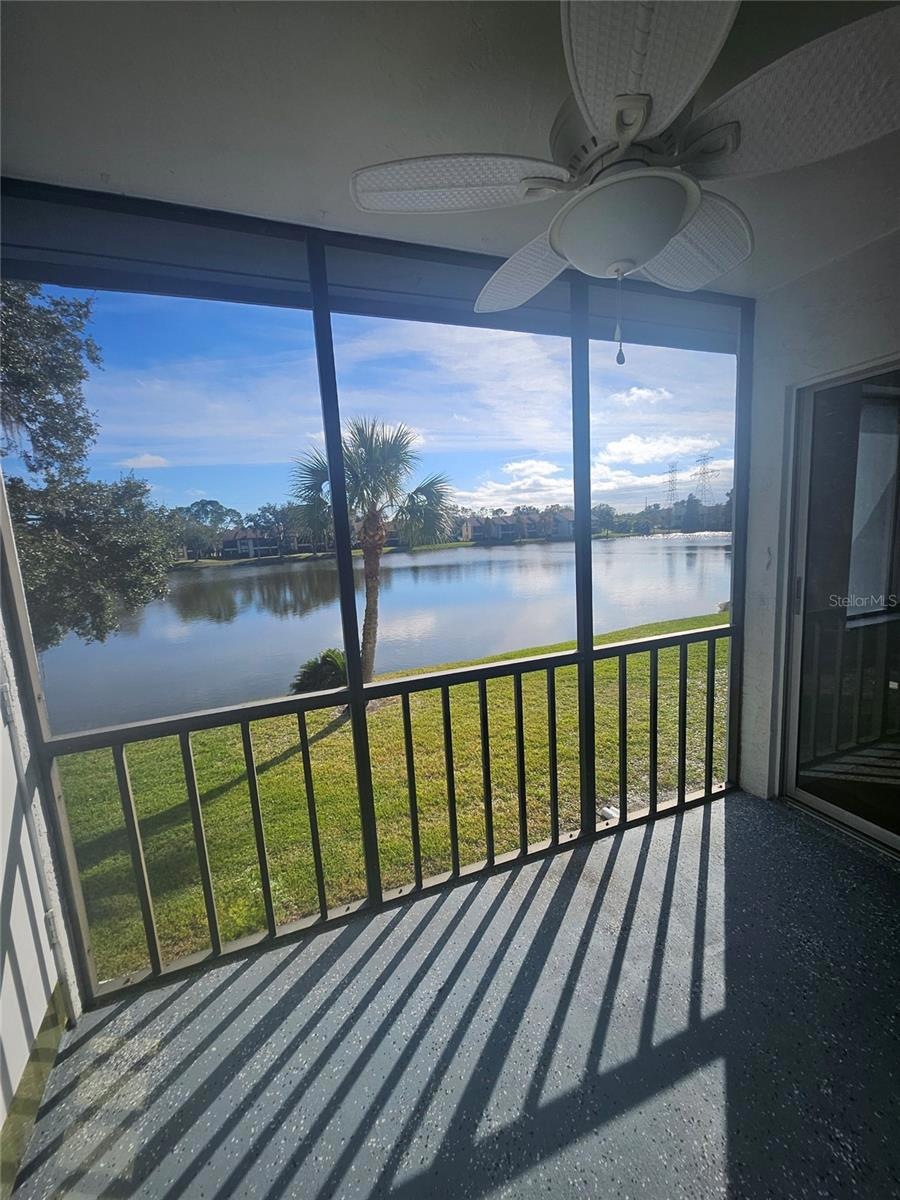 224 Cypress Ln unit 224, Oldsmar, FL 34677 - photo 1