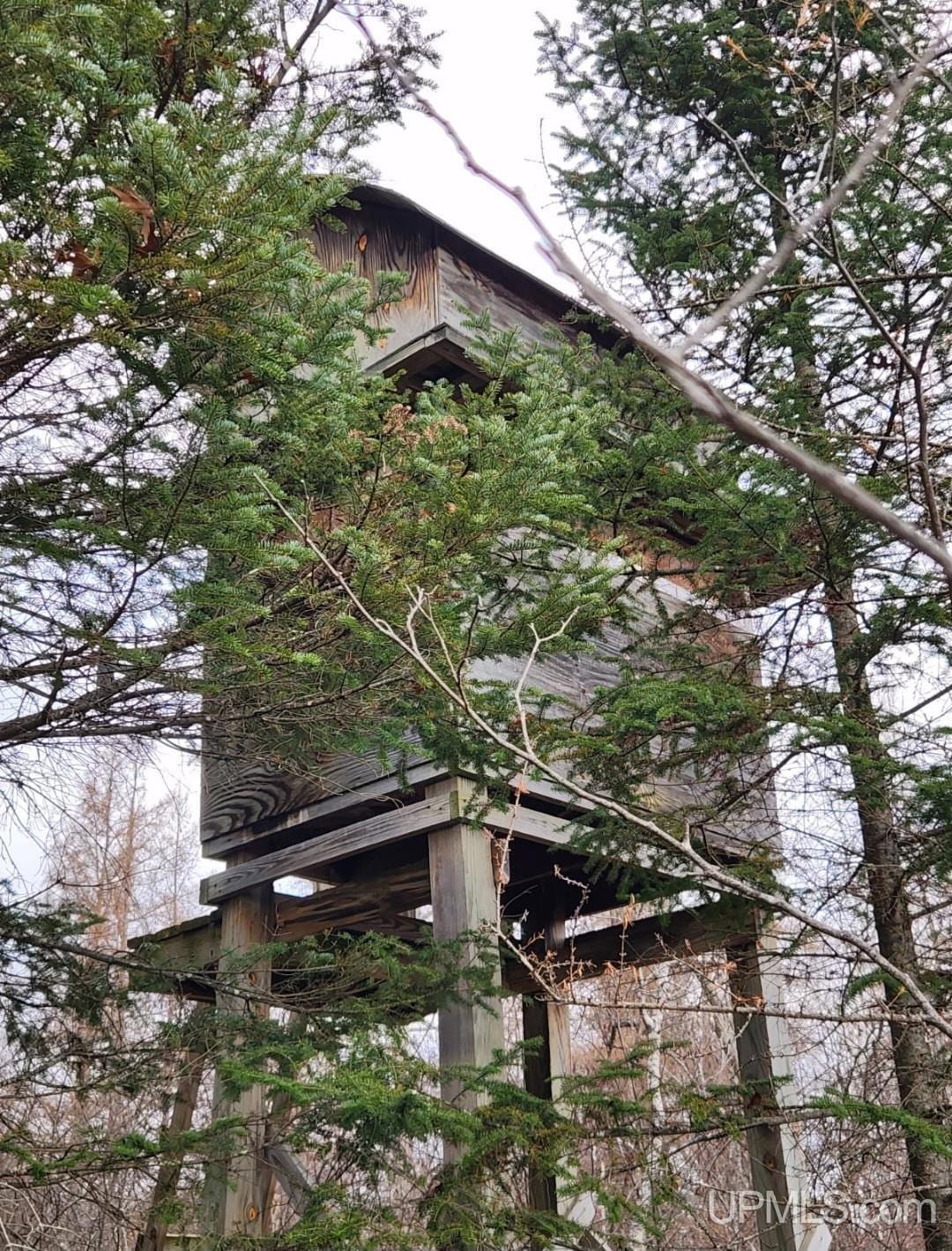 N18104 Perch Lake Rd, Pembine T-Wi, WI 54156 - photo 1