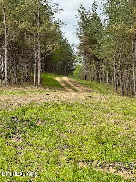 STONECIPHER DRIVE INTO PROPERTY