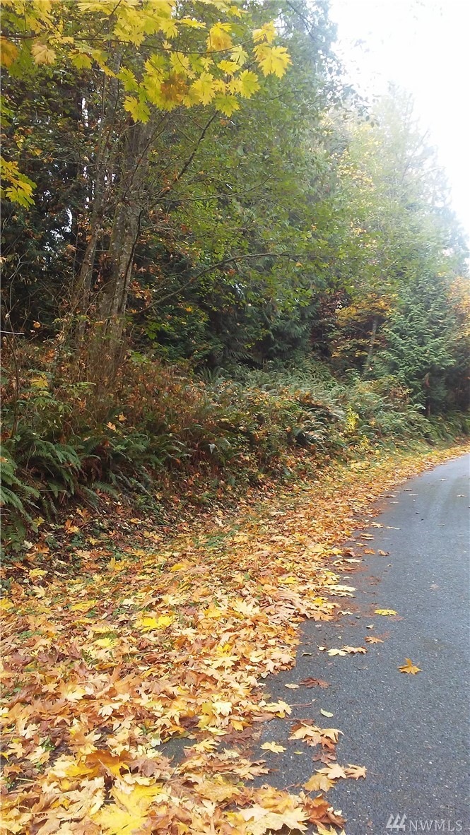 0 Silvana Terrace Rd unit 1215008, Stanwood, WA 98292 - photo 1