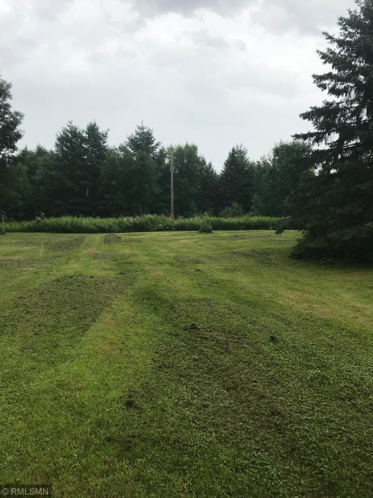 Nicely maintained yard