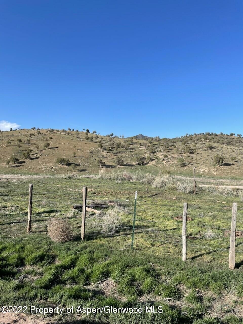 Lot 38 photo